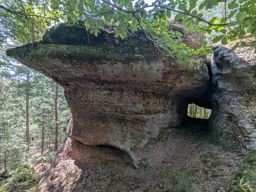 St sauveur avec ma soeur