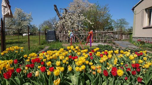 GHOSTákcký🌷nějak v menšině😯