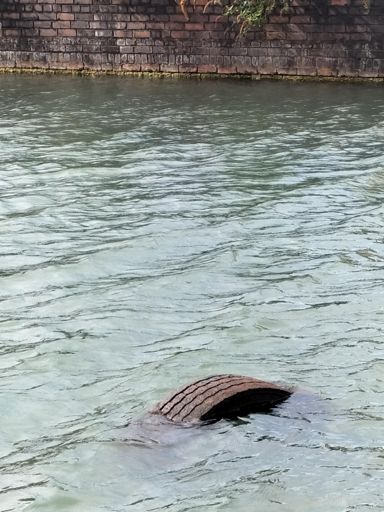 A whale 🐳 in the cut