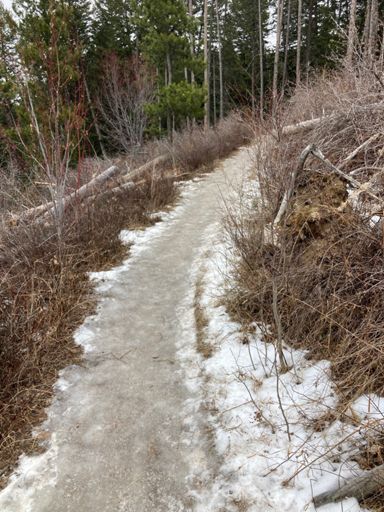 This is one of the icier spots. I had to walk a couple of the switchbacks.