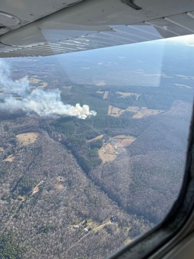 Controlled (?) burn from the office window today