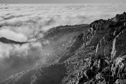 Dans la forêt des calanques