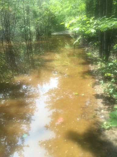 Chadbourne ridge (road)