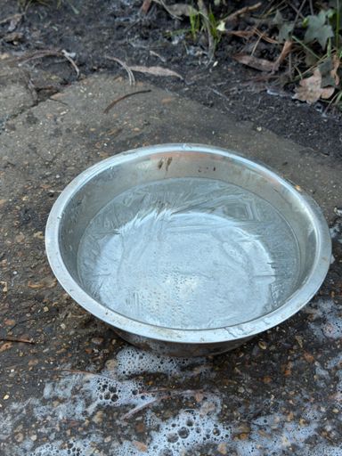 Dog bowl in the park. Good luck. 