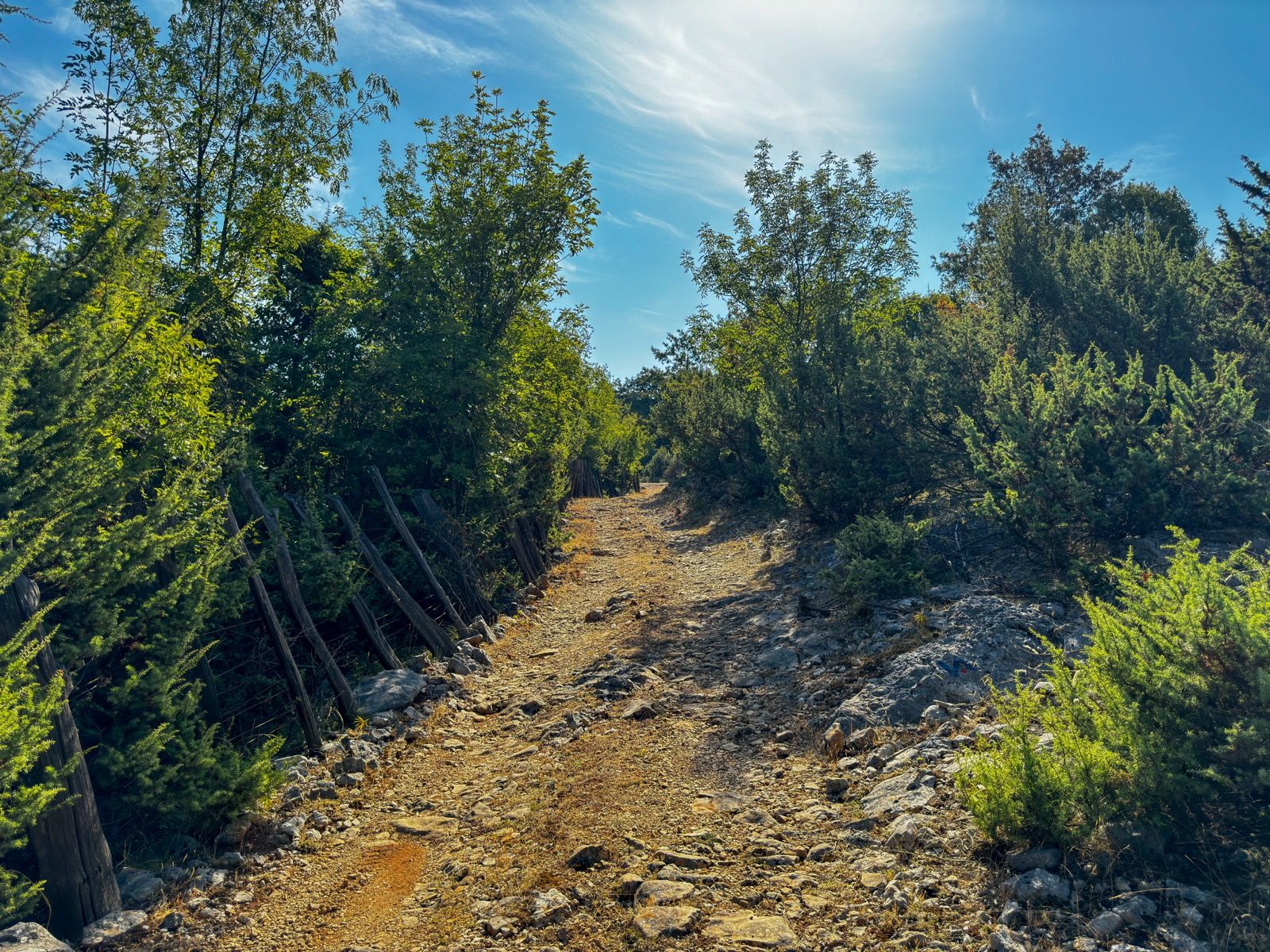 Ride Image 7