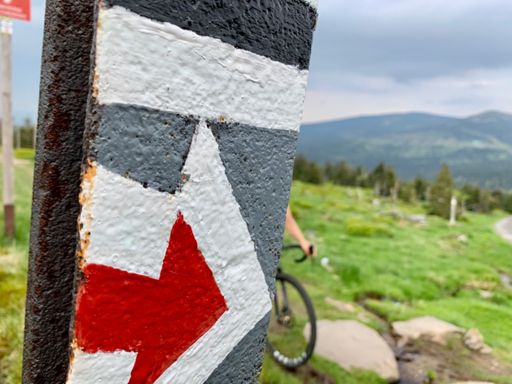 Histeria jedzie. 🤙🏻