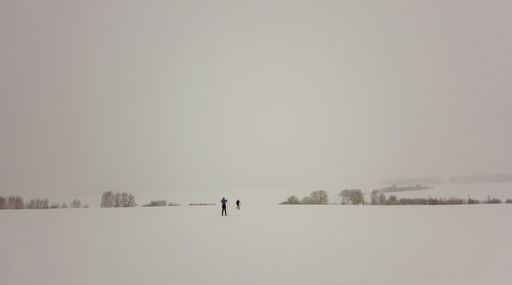 Севернее Золотухино.