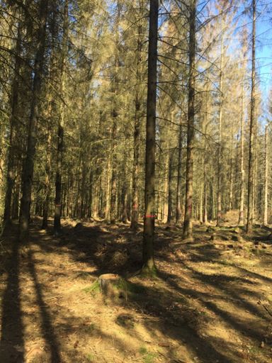 Allles Rot markiert soweit das Auge reicht