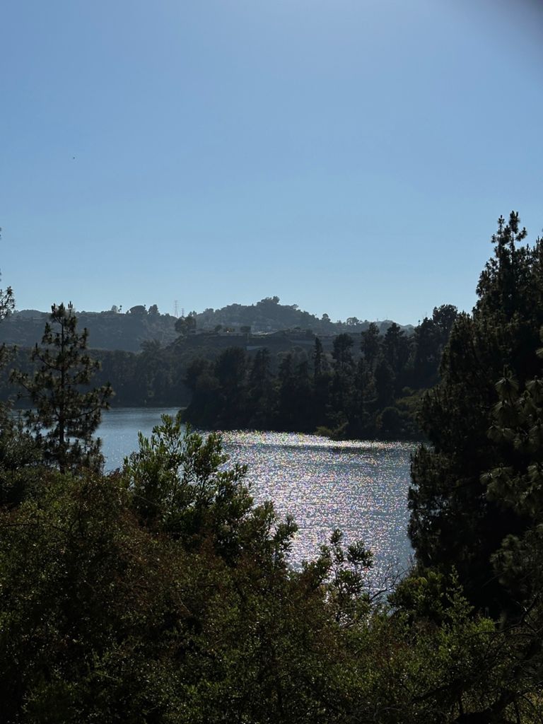 NBB run - Lake Hollywood photo 122
