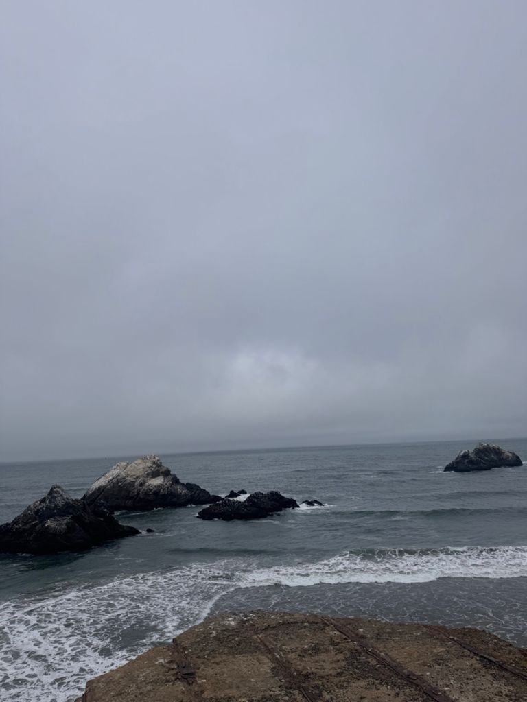 Butterlap (Presidio & Golden Gate Park)的照片 198