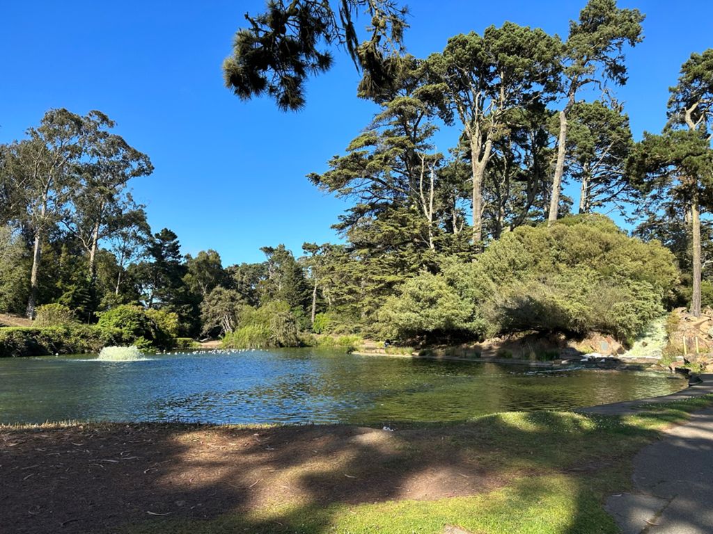 Butterlap (Presidio & Golden Gate Park) photo 136