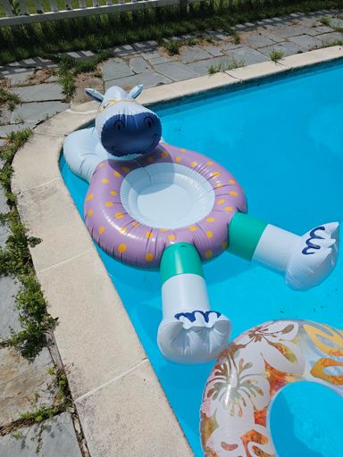 Hippo floatie waiting for my post-ride cool down