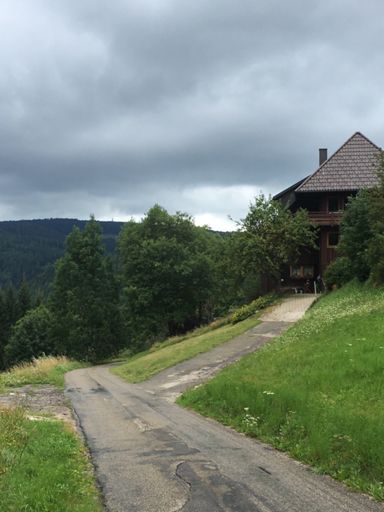 Rohardsberg aus Richtung Wilhelmshöhe