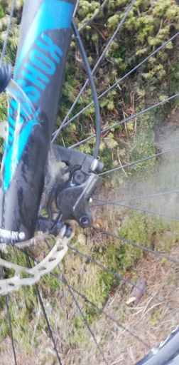 Daimer down   🔥🔥