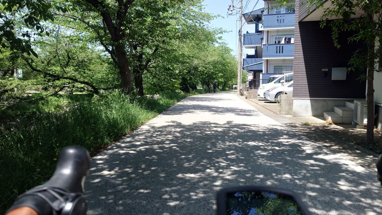 桜の季節が終わり、新緑の季節がやってきた。