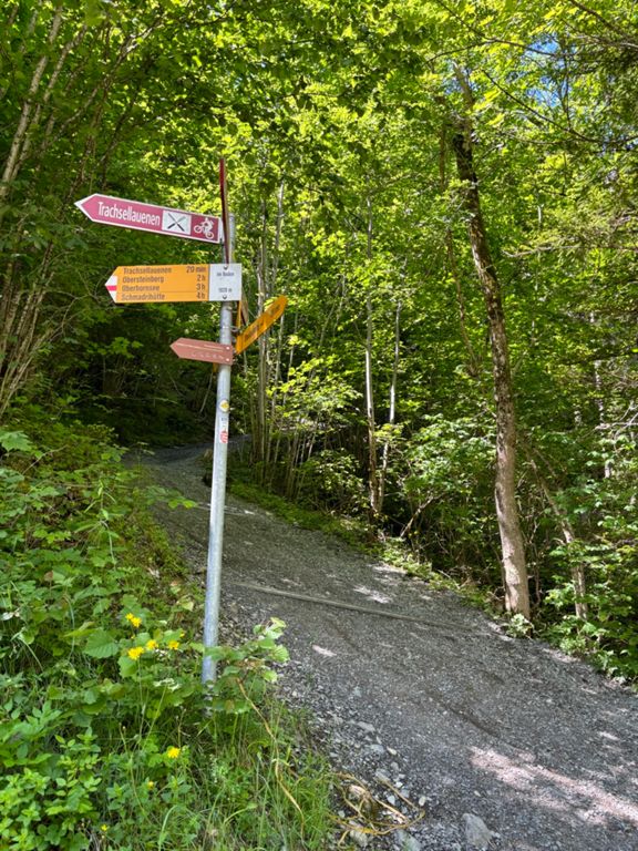 route-highlight