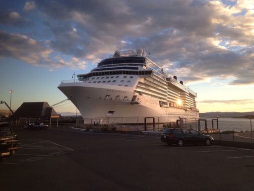 I don't like cruise ships really.