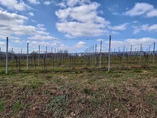 Ganz am Ende sieht man die Burg Landeck 😀