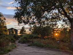 Magic sunset au Donon