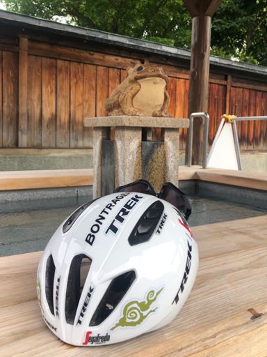 雨降る前に帰る。🐸