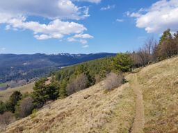 Boucle des chaumes du Lac Blanc au Hohnack