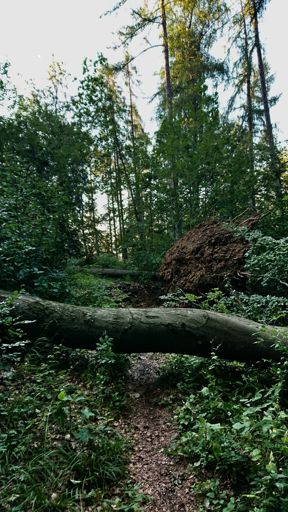Da bin ich So noch durchgerauscht