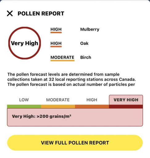 Very High Eh??? No Shit... Feeling Drained Blah