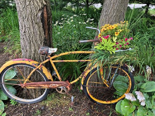 Rusty seems happy here