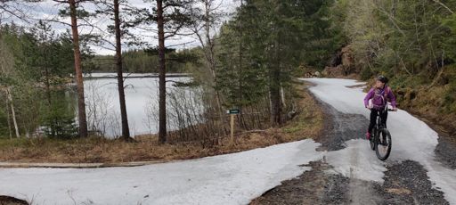 Hønstadvegen forbi Vulusjøen