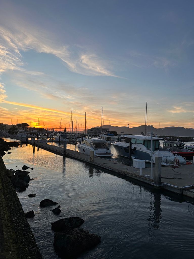 Butterlap (Presidio & Golden Gate Park) photo 3