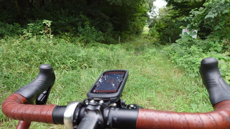 途中で堤防に戻ってみたが、やっぱり草が生え放題