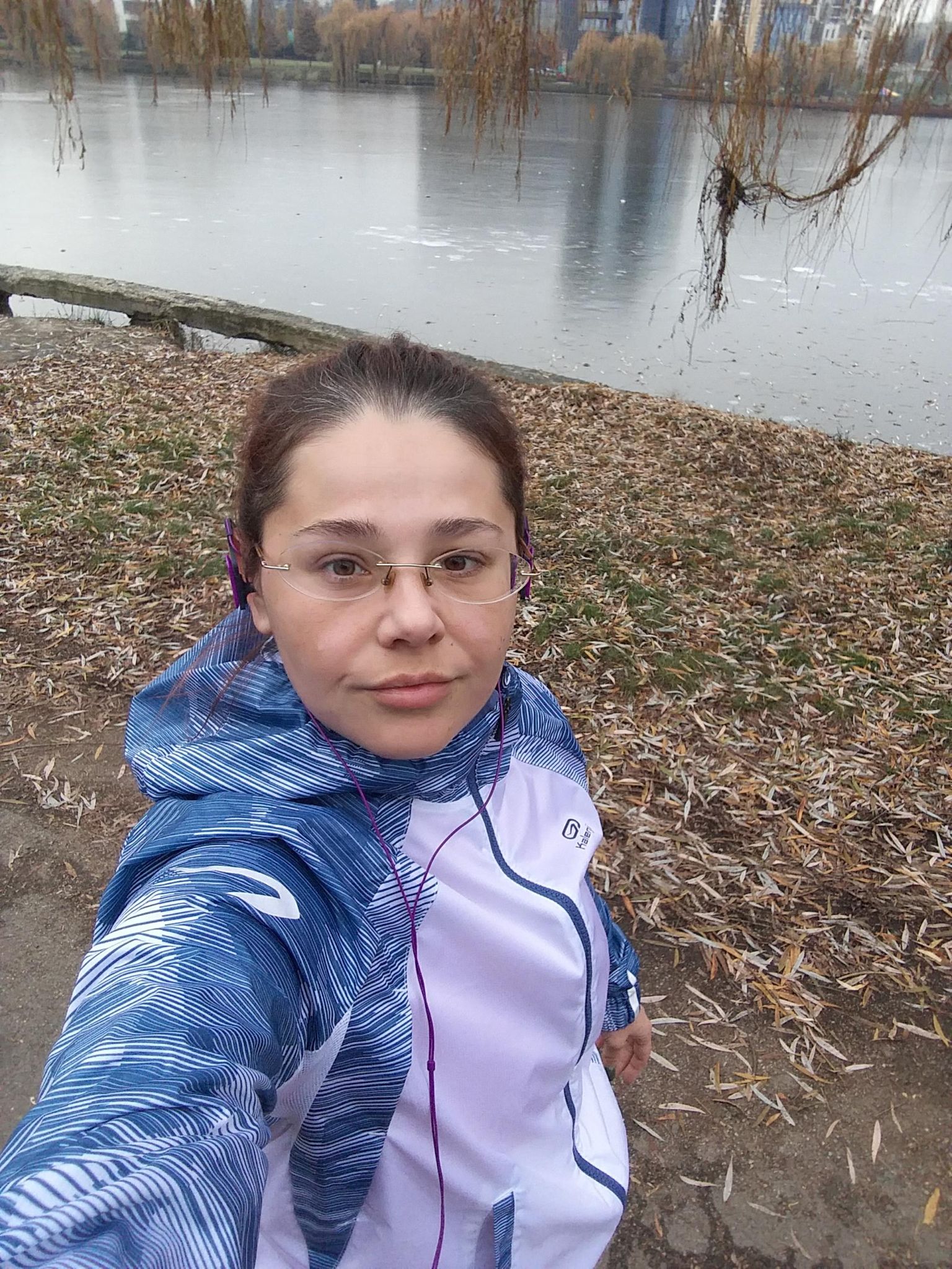 csollany corina