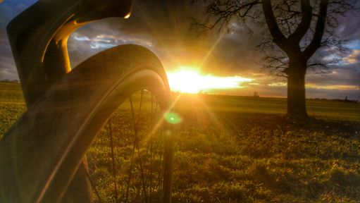 Little Miss Sunshine