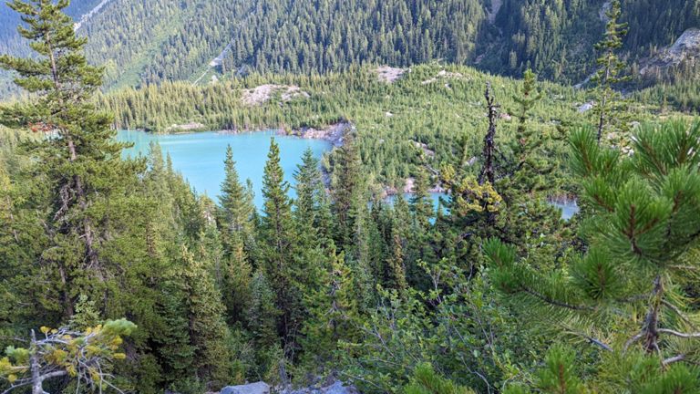 Emmons Moraine Trail photo 1