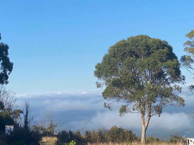 Macedon Sth Bound + Straw Lane + Nth Bound + Memorial Cross + Alton Rd