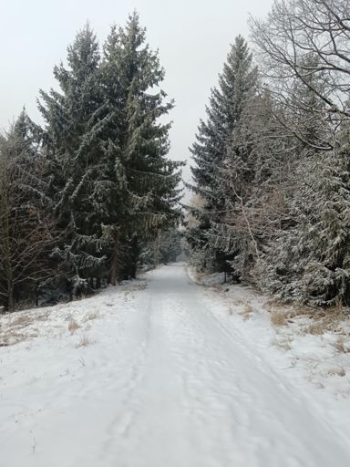 ....... a místa kde lišky dávají dobrou noc .....