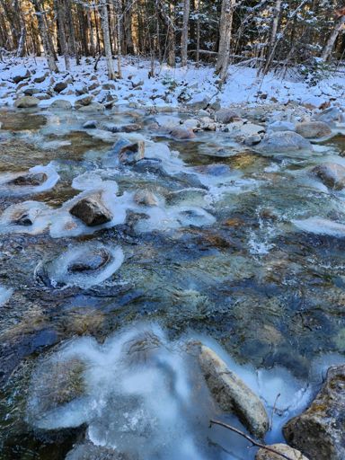Slightly submerged rocks were the safest play...anything wet above water was ice.  Did micro spikes over bags over shoes on the way out and just spikes/shoes on the way back.