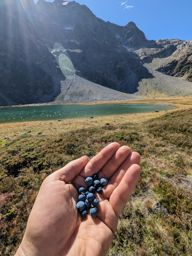 Boucle depuis Erstfeld entre via ferrata et lacs