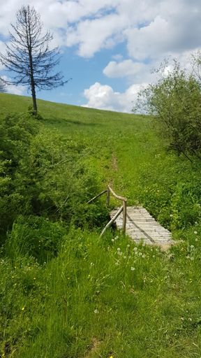 Tohto roku tu uz netreba preskakovat