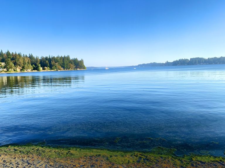 Chilly Hilly Route 52.5 km Cycling Route on Strava