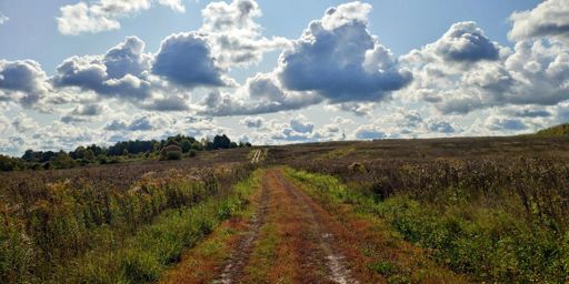 Бесконечные грунтобаны, местами зарастающие. По некоторым траекториям машины не ездят с прошлого года.