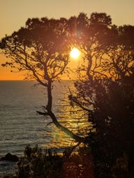 Lever de soleil au cap camarat avec ma soeur