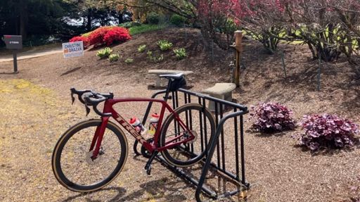 bike rack, benches, water fountain and a portapotty across the street!