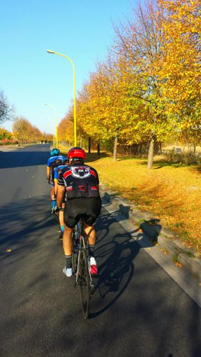 Durchs Abendgold zurück.
