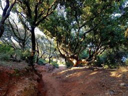 Presqu’île de Giens