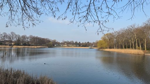 Frühlingsstimmung am Orankesee an diesem Märzdienstag um sieben Minuten vor um Fünf. Langsam werden die Bäume und Sträucher auch hier grün. 🌱