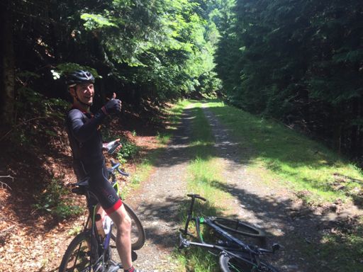 Vogeze, Garmin problemen