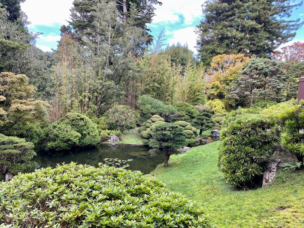 Butterlap (Presidio & Golden Gate Park)的照片 43