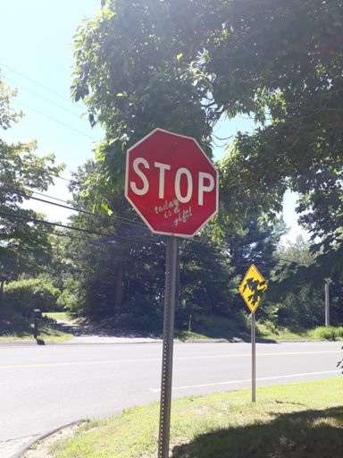 Weather was legit nice. Low 70's no humidity, even a NE tail wind. In July!!!