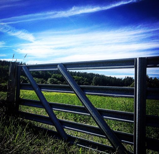 .....Maxwellness Valley....